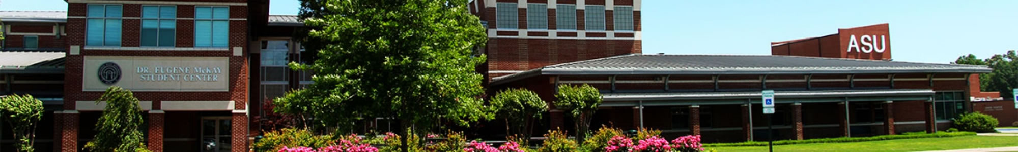 bingoplus Philippines