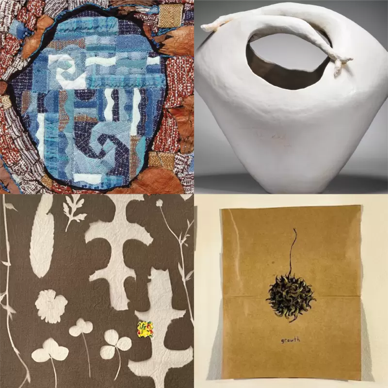 bingoplus color game